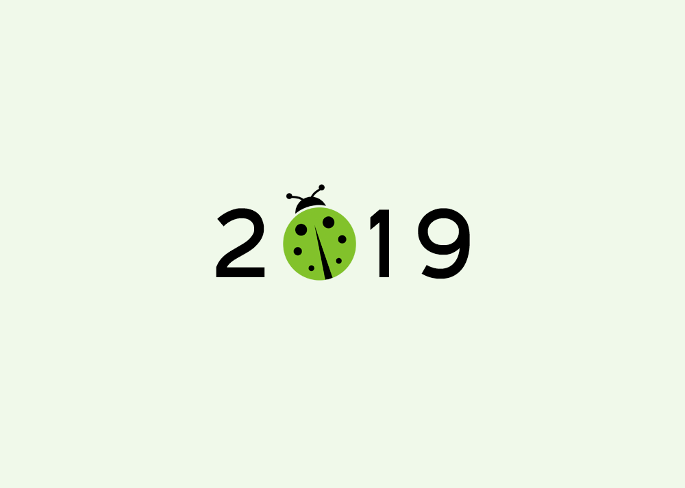 Photo of 2019 Year in Review